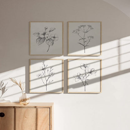 Plant Posters For Wall Decor