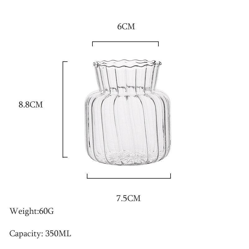 The Clear Glass Decorative Vase