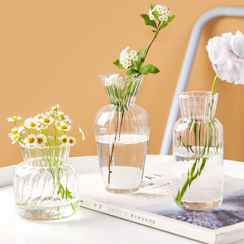 The Clear Glass Decorative Vase