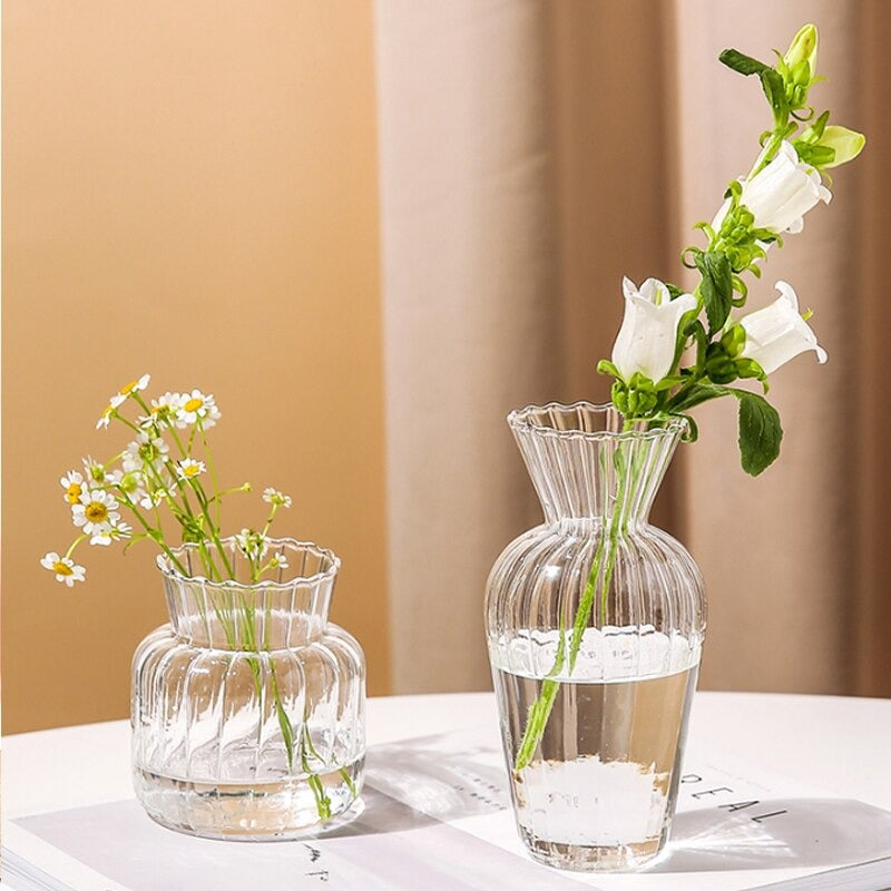 The Clear Glass Decorative Vase