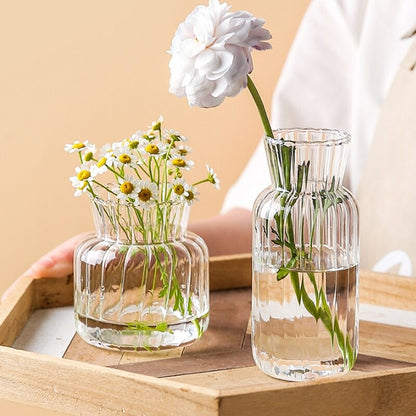 The Clear Glass Decorative Vase