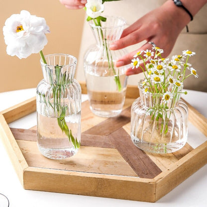 The Clear Glass Decorative Vase